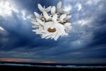 "bird in hand" shadow-playing suspension lamp. | Pendants by JAN PAUL
