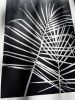 Palm Fronds, Black Botanical Print | Prints by Erik Linton. Item made of paper
