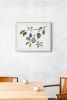 Plum Study : Original Watercolor Painting | Paintings by Elizabeth Becker. Item composed of paper compatible with boho and minimalism style
