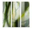 The Space Between -triptych 14 | Mixed Media by Jane Guthridge. Item composed of paper