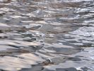 Calming Water | Photography by Rica Belna. Item composed of canvas and paper