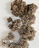 Soil Study - Inceptisols | Sculptures by Lauren Naomi. Item composed of ceramic in contemporary or modern style