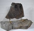 A Caruja (The Owl) | Sculptures by Barry Namm Art. Item composed of stone