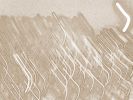 Circa 3758 | Prints in Paintings by Petra Trimmel. Item made of canvas & metal