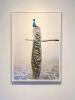 Patience Peacock | Photography by Alice Zilberberg | Tinney Contemporary in Nashville. Item made of paper