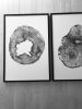 Iowa Oak. Original woodcut print on 24x36 inch Paper | Prints by Erik Linton. Item made of paper