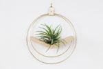 Modern Air Plant Hanger | Plants & Landscape by Braid & Wood Design Studio. Item composed of wood & brass