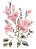 Floral No. 34 : Original Watercolor Painting | Paintings by Elizabeth Becker. Item made of paper compatible with boho and minimalism style