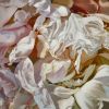 Cherdi Kala | Oil And Acrylic Painting in Paintings by Chloe Hedden. Item composed of canvas
