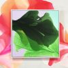 Abstract Painting "Bestows Light on Moss" | Oil And Acrylic Painting in Paintings by Marta Spendowska. Item composed of wood and canvas in minimalism style