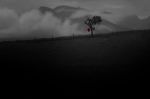 Resilience – Fine Art Photography | Photography by ANDRES GALAN. Item made of canvas with aluminum works with contemporary & modern style