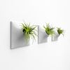 Node M Wall Planter, 9" Modern Plant Wall Set, Gray | Sculptures by Pandemic Design Studio. Item composed of stoneware in minimalism or mid century modern style