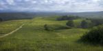 Path through the Plains | Photography by Jay Mason. Item composed of paper in country & farmhouse or traditional style