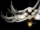 Small Antler Chanelier | Chandeliers by Anchor Bend Glassworks. Item made of oak wood with brass works with contemporary & country & farmhouse style