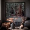 SANCTUARY | A Stroll Among the Redwoods | Fine Art Print | Photography by Jess Ansik. Item made of paper compatible with modern and scandinavian style