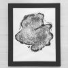 Alaska Cypress Tree | Prints by Erik Linton | Four Seasons Hotel San Francisco in San Francisco. Item made of paper