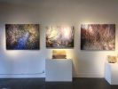 "Little Paradises." | Oil And Acrylic Painting in Paintings by Angelita Surmon | Waterstone Gallery in Portland. Item composed of canvas & synthetic