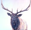 Odin | Oil And Acrylic Painting in Paintings by Patricia A Griffin. Item made of linen with synthetic