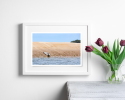 Photograph • Seal, England, Norfolk, Coastal, Nautical | Photography by Honeycomb. Item made of metal with paper works with coastal style