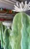 Cacti Lovers | Floor Lamp in Lamps by Syds Fab Shop. Item composed of ceramic compatible with southwestern style