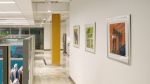 Hospital Insurance Firm, Chelsea, New York | Interior Design by Art Solutions