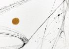 Minimal Line Glass Cup Wall Art | Oil And Acrylic Painting in Paintings by NAMYOONSOOART. Item composed of canvas & synthetic compatible with minimalism style