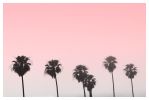 Pink Palms | Photography by Capricorn Press. Item composed of paper in minimalism or contemporary style