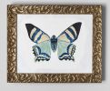 Butterfly | Oil And Acrylic Painting in Paintings by Relativity Textiles. Item composed of synthetic