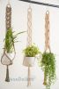 Macrame Plant Hanger, Boho Plant Holder | Plants & Landscape by BeanDaikon. Item made of cotton works with boho style