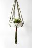 Macrame Plant Hanger, HOlive Green, Deep Burgundy, Hand-Dyed | Wall Sculpture in Wall Hangings by Freefille. Item composed of cotton in contemporary or modern style