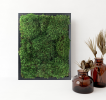 100% Live Moss Wall Art in Black | Decorative Objects by Moss Pure. Item made of wood compatible with contemporary and industrial style