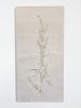 Rumex Crispus | Oil And Acrylic Painting in Paintings by Tania Love. Item made of wood with synthetic