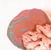 The Edge of Cerebral | Oil And Acrylic Painting in Paintings by Claire Desjardins. Item made of canvas with synthetic