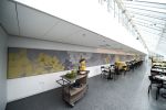 Yellow Magnolia Cafe Custom Mural | Wall Treatments by Jill Malek Wallpaper | Brooklyn Botanic Garden in Brooklyn