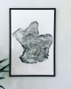 Set of 3 Large Tree Ring Prints | Prints by Erik Linton | Kate Chipinski's Home in Minneapolis. Item made of paper