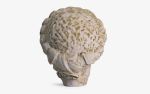 Diocletian Bust Made with Compressed Marble Powder | Sculptures by LAGU. Item made of marble