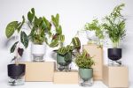 Kapi big green | Planter in Vases & Vessels by Krafla. Item composed of ceramic and glass in minimalism or contemporary style