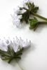 Wildflowers on-edge paper art | Wall Sculpture in Wall Hangings by JUDiTH+ROLFE. Item made of paper compatible with boho and contemporary style