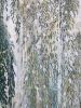 Sweet Willow | Oil And Acrylic Painting in Paintings by Renee Bott. Item composed of synthetic