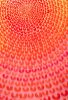 The Original Love | Oil And Acrylic Painting in Paintings by Michele Theberge. Item compatible with boho and modern style