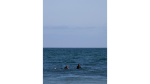 Pacific Coast Highway | Photography by Renee Torres. Item made of paper works with boho & minimalism style