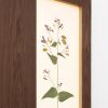 Herbarium Mini: Lunaria Annua - Wall Light Sculpture | Wall Sculpture in Wall Hangings by Mateusz Wappa Design & Research. Item made of birch wood & glass compatible with minimalism and modern style
