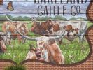 Lakeland Cattle | Street Murals by Anat Ronen | Lakeland Village Center in Cypress