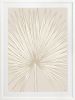 Nobilis Palm - 1 & 2 & 3 - Sand - Framed Art | Prints by Patricia Braune. Item made of canvas & paper
