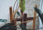 Plant Stand Indoor | Plants & Landscape by ROOM-3. Item composed of maple wood