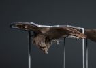Interflow Table | Coffee Table in Tables by Mac McComb. Item composed of walnut & steel compatible with contemporary and coastal style