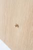 Fuji Stool | Chairs by Tiago Curioni Studio. Item composed of oak wood