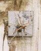 Installation | Sculptures by Janet Botes. Item made of wood