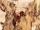 Palimpsest | Wall Sculpture in Wall Hangings by Yechel Gagnon | Art Gallery of Nova Scotia in Halifax. Item composed of wood