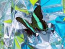 Innocence #10 | Photography by LAURENT ELIE BADESSI. Item made of paper